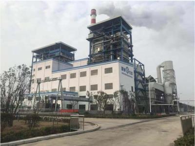 國楨阜陽生物質(zhì)項目